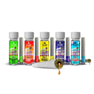 THC-P Donut Hash Hole 1.5 Gram Pre-Rolls